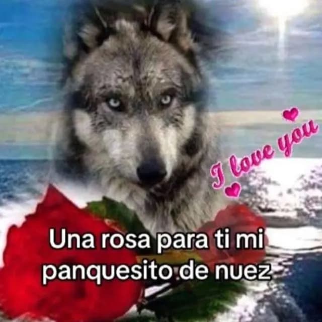 Amistad Virtual