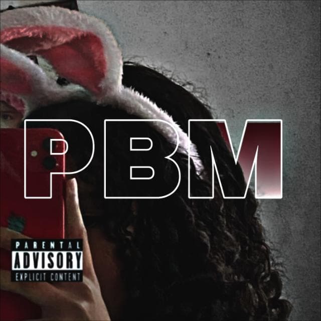 Rave Dos Problematicos — grupos de WhatsApp