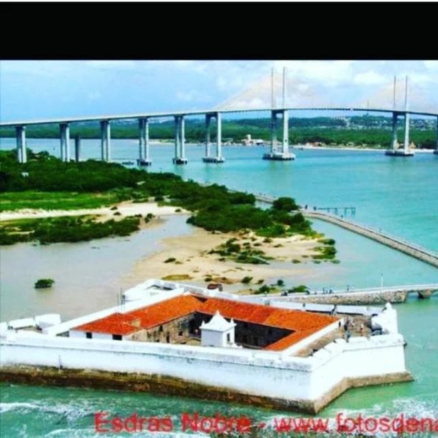 RN Noticias🇧🇷